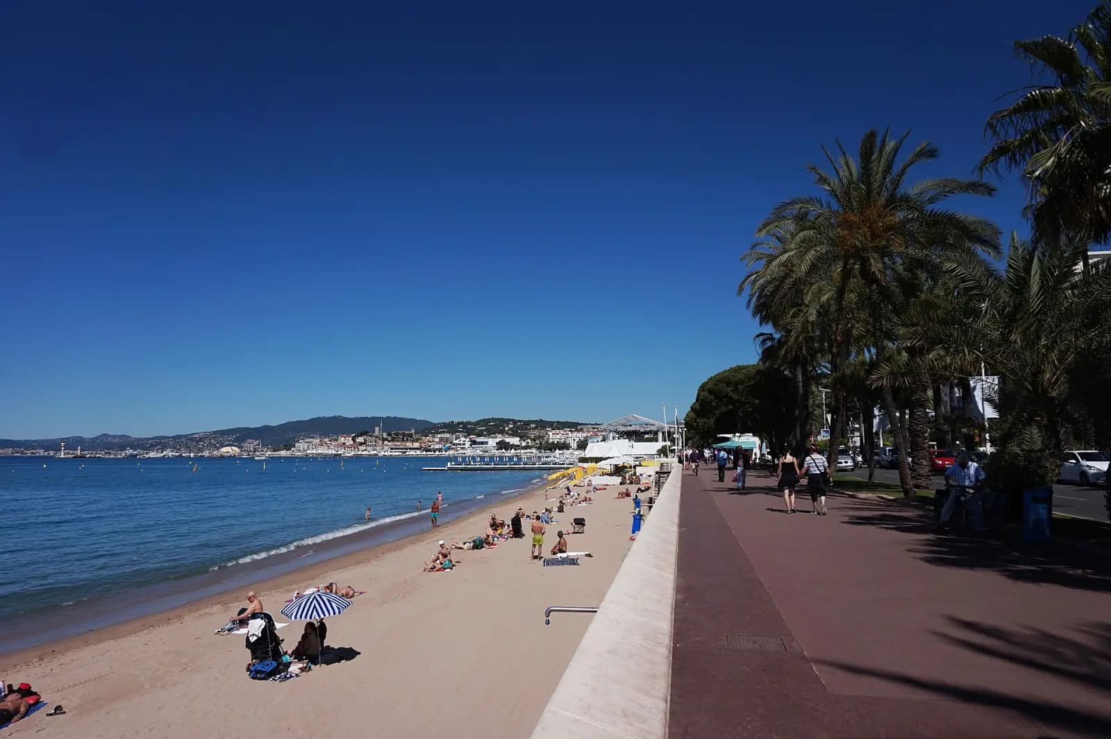Palm-lined beach and promenade of La Croisette under a blue sky