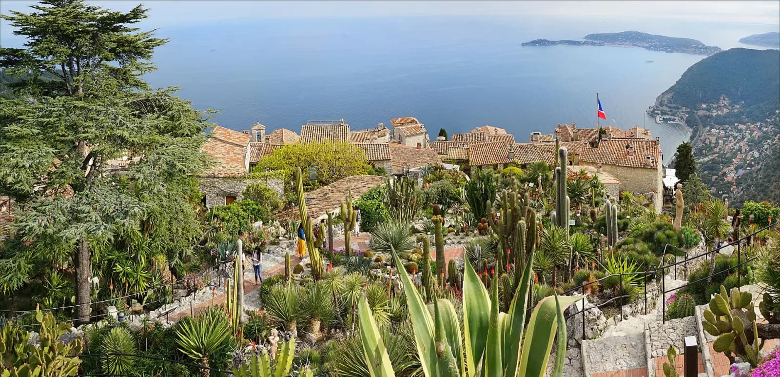 Cactus et agaves du jardin exotique d'Èze au-dessus des toits du village et de la mer