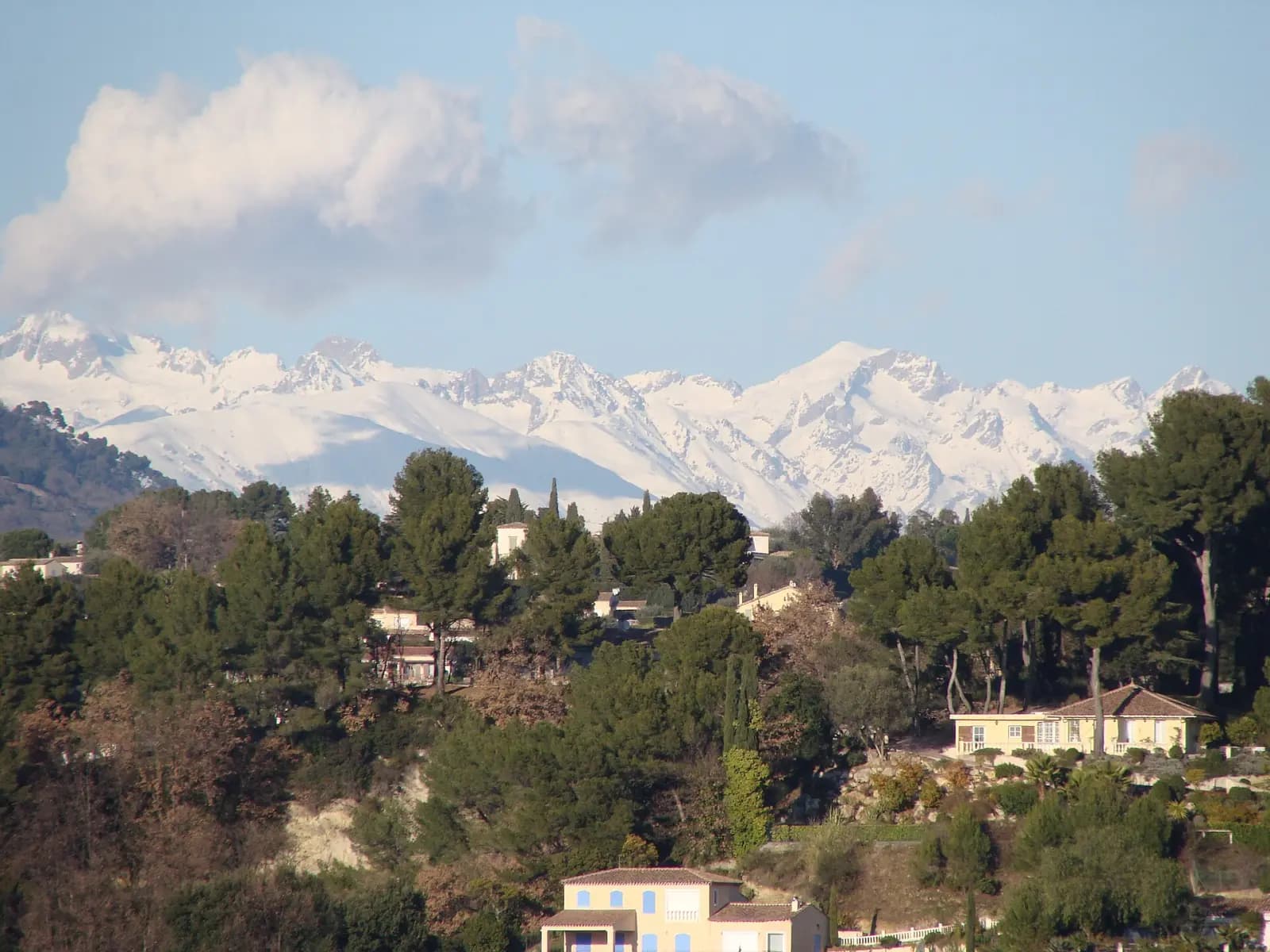 Vue depuis Saint-Paul-de-Vence sur les collines boisées et les sommets enneigés des Alpes